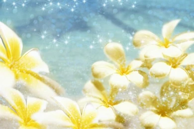 Frangipani Flowers And Shimmering Water (1920+1600 ) 72   Wallcoo.net