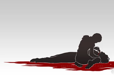 54 Dragon Age II HD Wallpapers