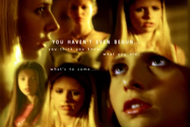 Buffy Wallpapers   Buffy The Vampire Slayer Wallpapers (973650)   Fanpop