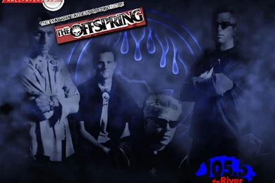 The Offspring Wallpapers Picture Image 1024x768 16929