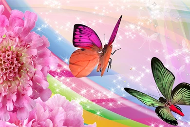 Images Of Flowers And Butterflies