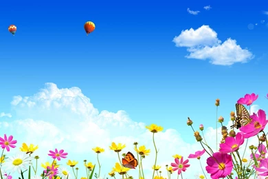 Butterflies On Flowers Wallpapers » WallDevil   Best Free HD ...