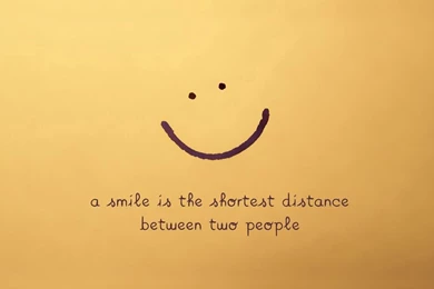 Funny Wallpapers HD Download Group 1 Http://netwallpapershd ...