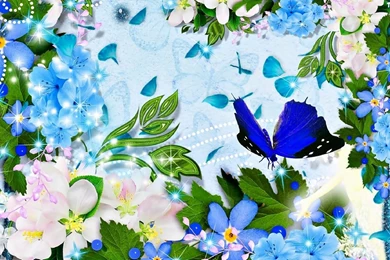 Flowers And A Butterfly Wallpaper_other_health Questions,pictures ...