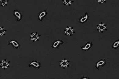 Bandana   Cool Graphic