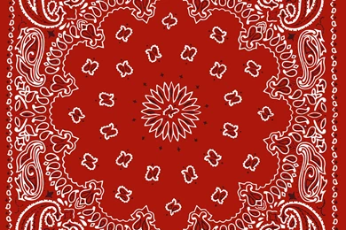 Browse Wallpapers By Bandana Category