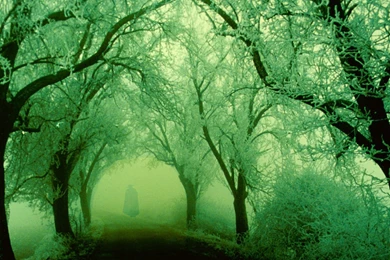 Nature: Haunted Trail, Picture Nr. 21406