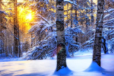 Free Widescreen Winter Wallpapers (11)   Free Wall Paper