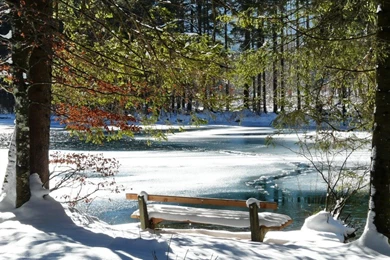 The Gallery For   > Winter Wallpapers Widescreen