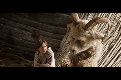 Wallpapers Where The Wild Things Are Hd Animal Reptiles 1440x900 ...