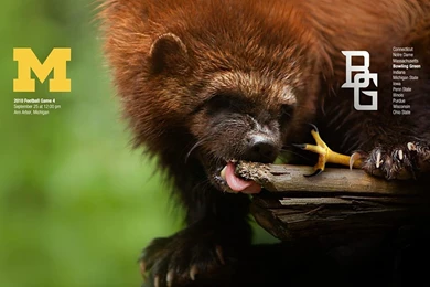 Michigan Football Fan Art   The Art. The Art. The Art!