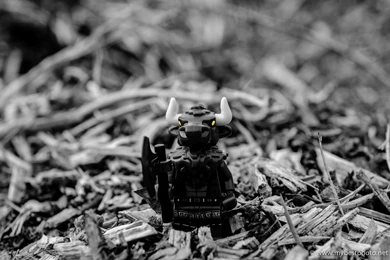 Lego Minifigures In The Wild: Lego Minifigure Series 6 Minotaur ...