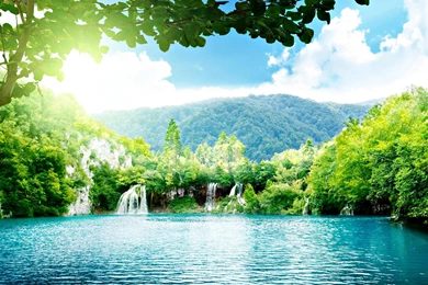 Landscape Of The Wood HD Desktop Wallpapers