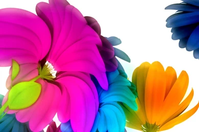 Rainbow Flowers Wallpapers