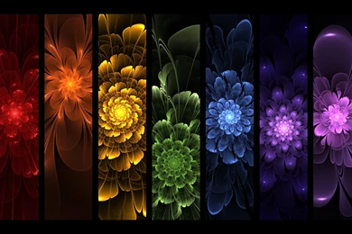 Rainbow Flowers On Pinterest