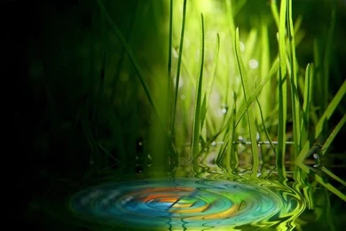 Download Free HD Windows Vista Themes For Your Desktop Backgrounds ...