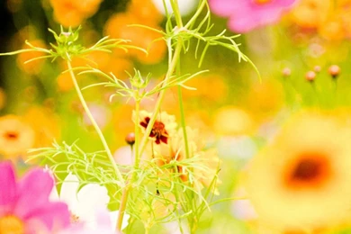 Galaxy S4 Wallpapers HD, Samsung Galaxy S4 Wallpapers, Galaxy ...