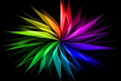 Pretty Rainbow Flower   Typta.com