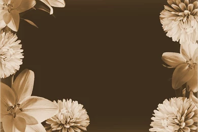 Old Fashion Backgrounds   Wallpapers Zone