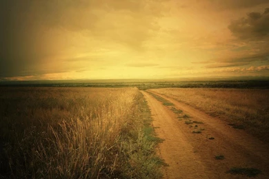 Old Fashioned Field   (