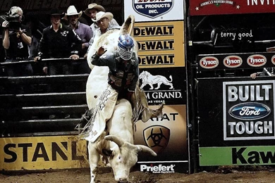 MIKE LEE World Champion PBR Bull Rider: Endorsement/Sponsorship