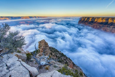 Download Stunning Grand Canyon Wallpapers 1959 1920x1200 Px High ...