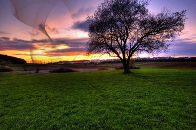 Download Free Beautiful Wallpaper,desktop Wallpapers