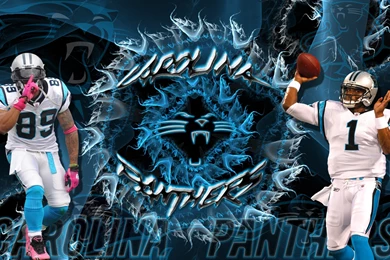 Wallpapers By Wicked Shadows: Carolina Panthers Steve Smith Cam ...