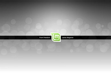 Linux Mint Computer Wallpapers 4399 1920x1200   UMad.com