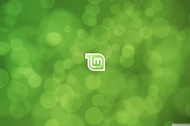Linux Mint Gnome HD Desktop Wallpapers : Widescreen : High ...