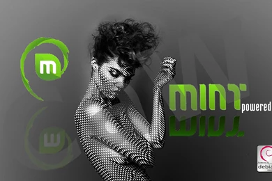 Preview Unofficial HD Linux Mint Wallpapers