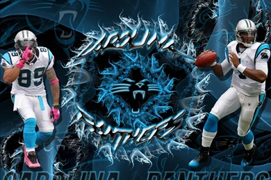 Wallpapers By Wicked Shadows: Carolina Panthers Steve Smith Cam ...