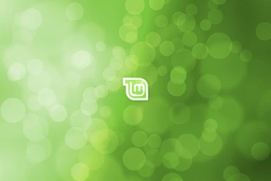 Linux Mint Wallpaper Backgrounds 4406 2560x1600   UMad.com