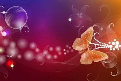Beautiful Butterfly Hd Vector Wallpapers