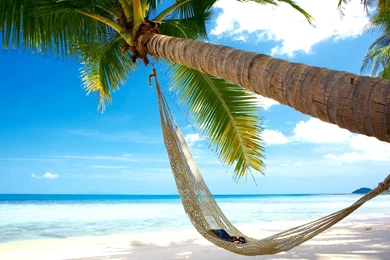 Beaches, Coconut Trees, Hammocks, Blue Sea Sky Scenery >> HD ...