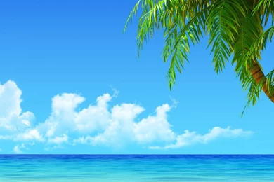 Tropical Beach Coconut Tree Illustration iPhone 6 Plus HD ...