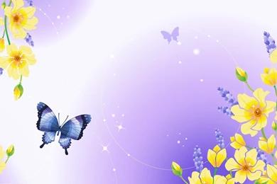 Wallpapers Vector Widescreen Quality High Design Wallpapers Array ...