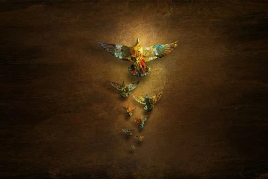 Artistic,minimalistic Minimalistic Artistic Colorful Birds ...