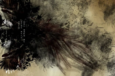 Feathers Song By Shineft Na Dark Like Skulls Depressing Colours ...