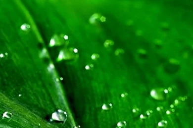 Nature Wallpapers Samsung