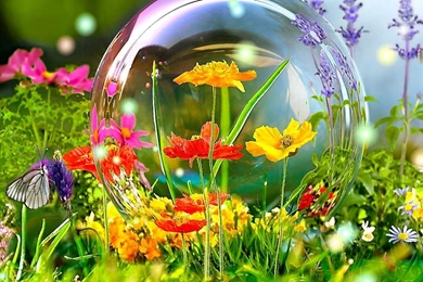SPRING FLOWERS WALLPAPER   (