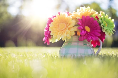 Spring Wallpapers High Resolution For Widescreen Wallpapers ...
