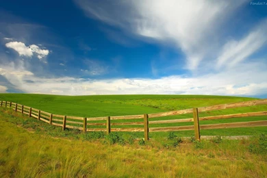 Spring, Green, Widescreen, Wallpapers (