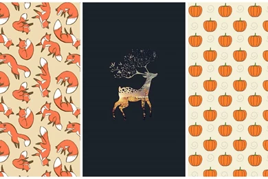 Pinterest Wallpapers   HD Wallpaper Backgrounds Of Your Choice