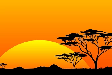 African Safari Related Keywords & Suggestions   African Safari ...