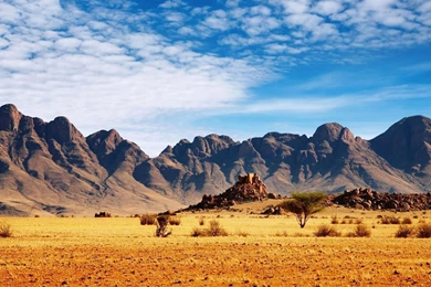 Hd 95969 Stunning Safari Wallpapers Landcapes   HD Wallpapers ...