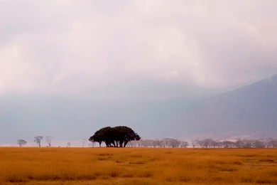 Eastern Circuit   The Classic Tours And Safari