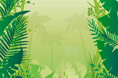 Safari Jungle Backgrounds   Google Search