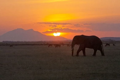Tanzania Safari Adventure   Wilderness Inquiry