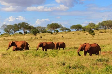 Putting It All Together